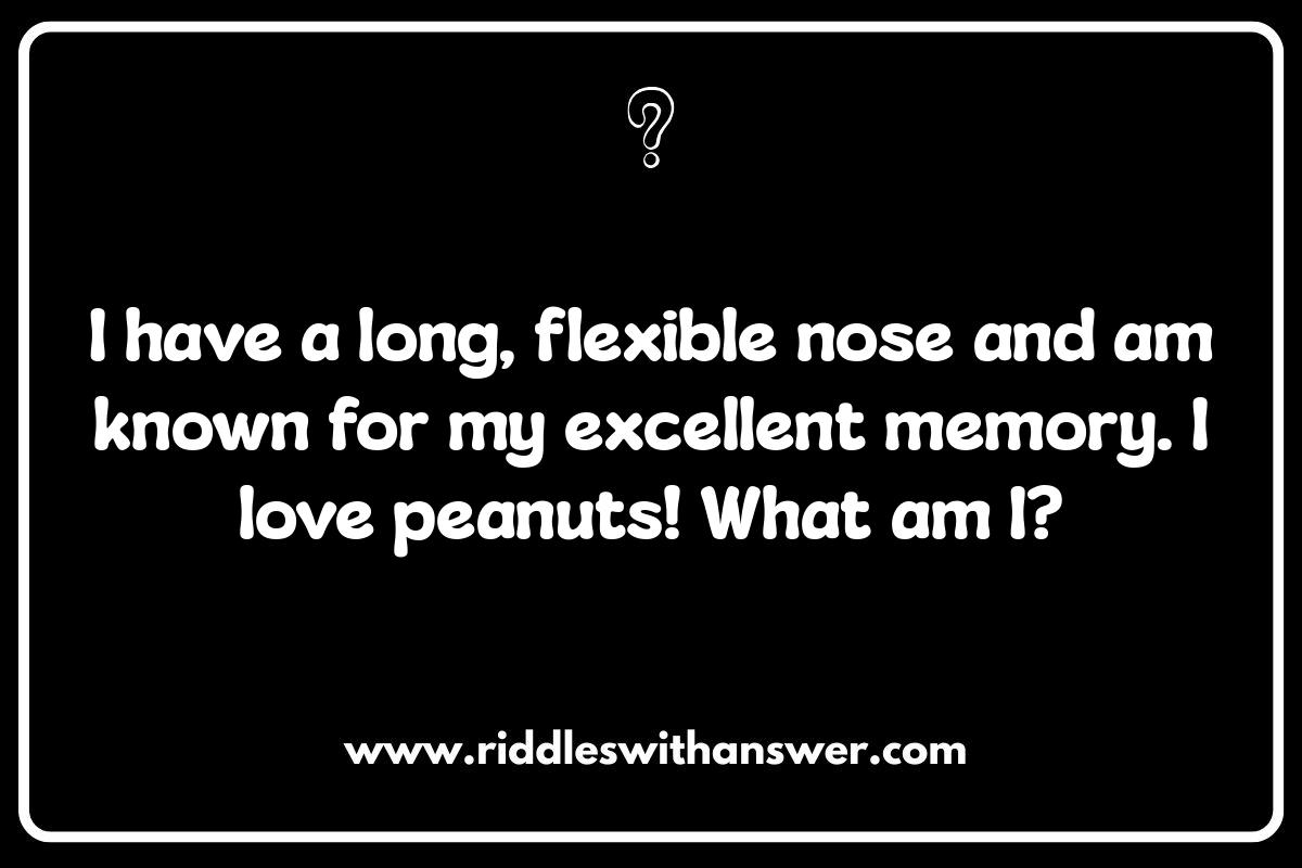 Animal Riddles for Kids: Engaging and Educational Fun