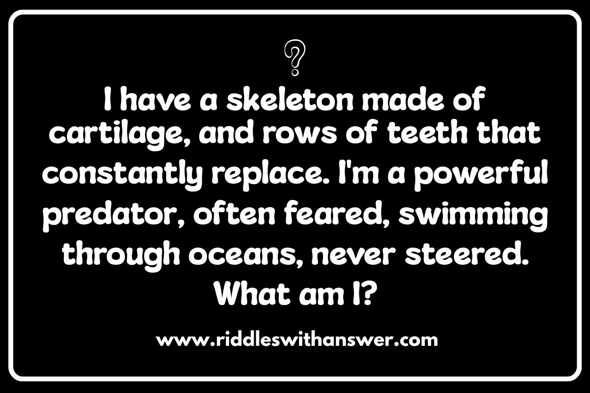 Aquatic Animal Riddles for Budding Marine Biologists