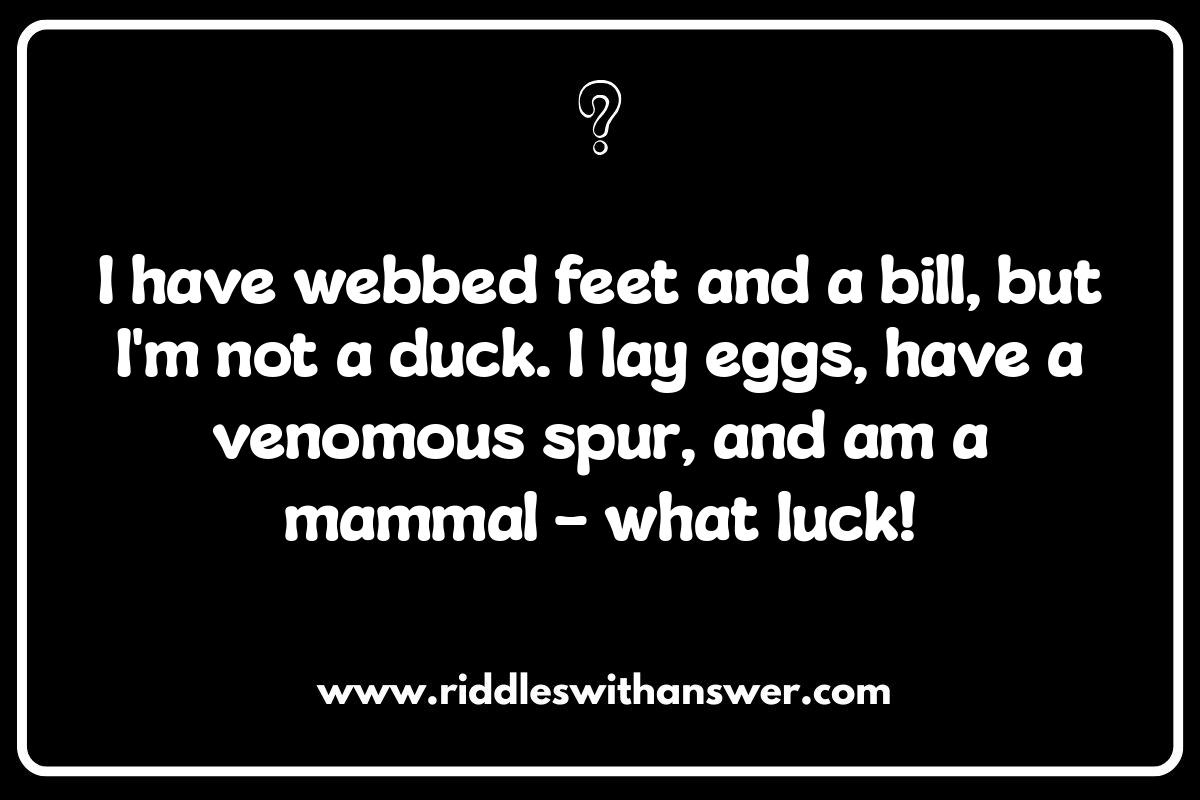 Beyond the Bark: Exploring Different Cute and Funny Animal Riddles