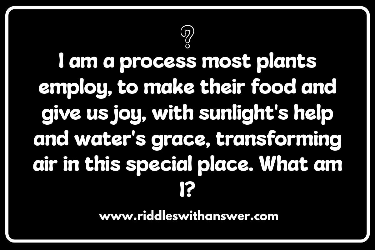 Biology Riddles: Photosynthesis Puzzles and Plant Predicaments