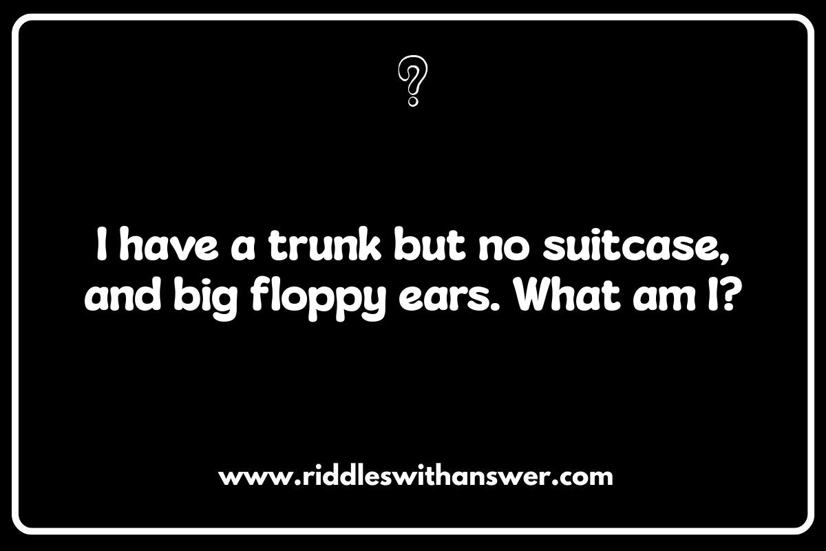 Classic Animal Riddles for Preschoolers: A Timeless Activity