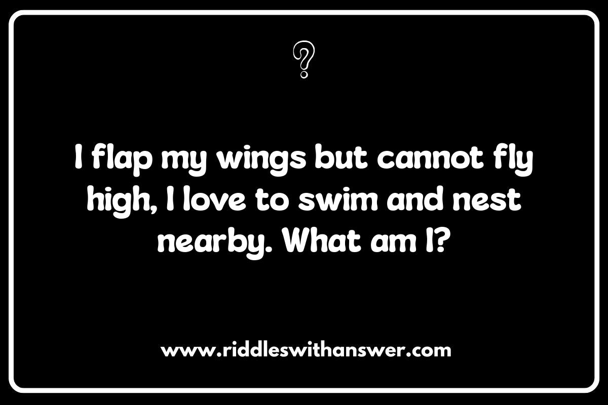 Creative Animal Riddles for Preschoolers: Encouraging Imagination
