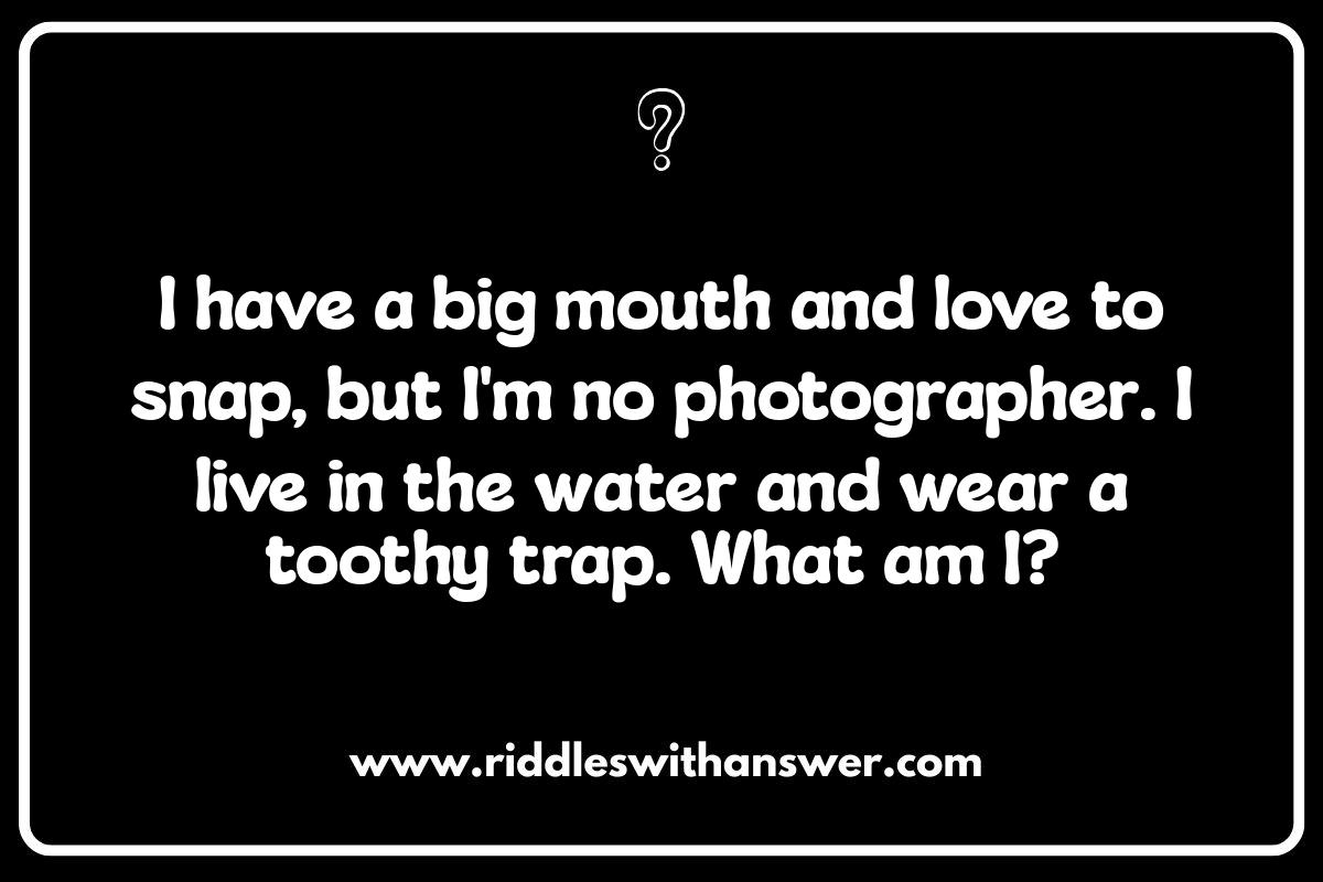 Cute and Funny Animal Riddles: Test Your Wits!