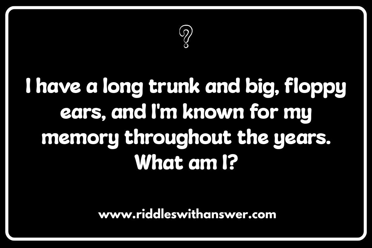 Easy Animal Riddles for Kids: A Gentle Start