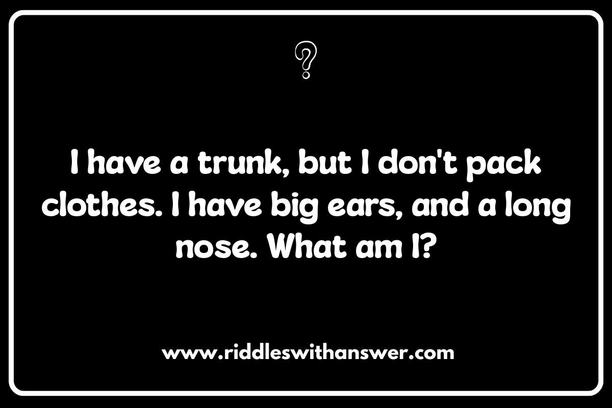 Easy Animal Riddles for Kids: Answer Key Included