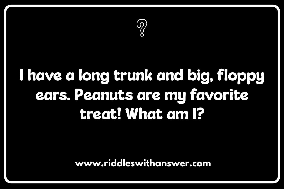Easy Animal Riddles for Preschoolers: With Picture Clues