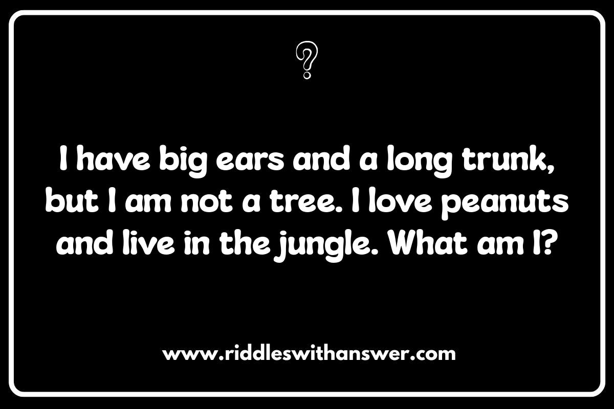 Fun Animal Riddles for Preschoolers: Developing Critical Thinking