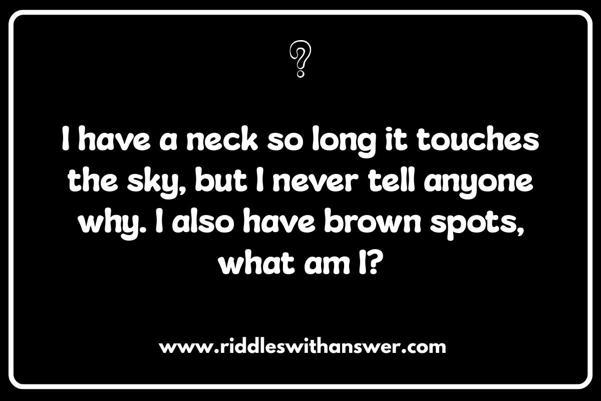 Funny Animal Riddles: Guaranteed to Make You Laugh