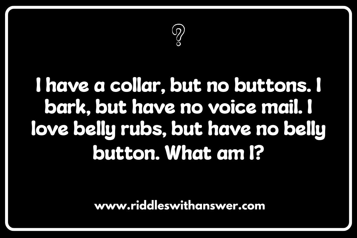 Funny Pet Riddles: Giggles Guaranteed
