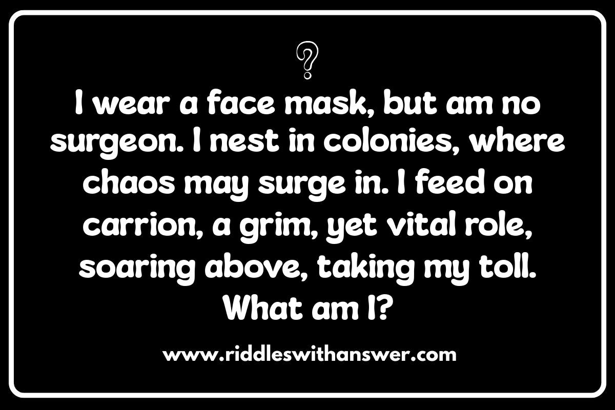 Hard Bird Riddles: Puzzles That Will Make You Squawk