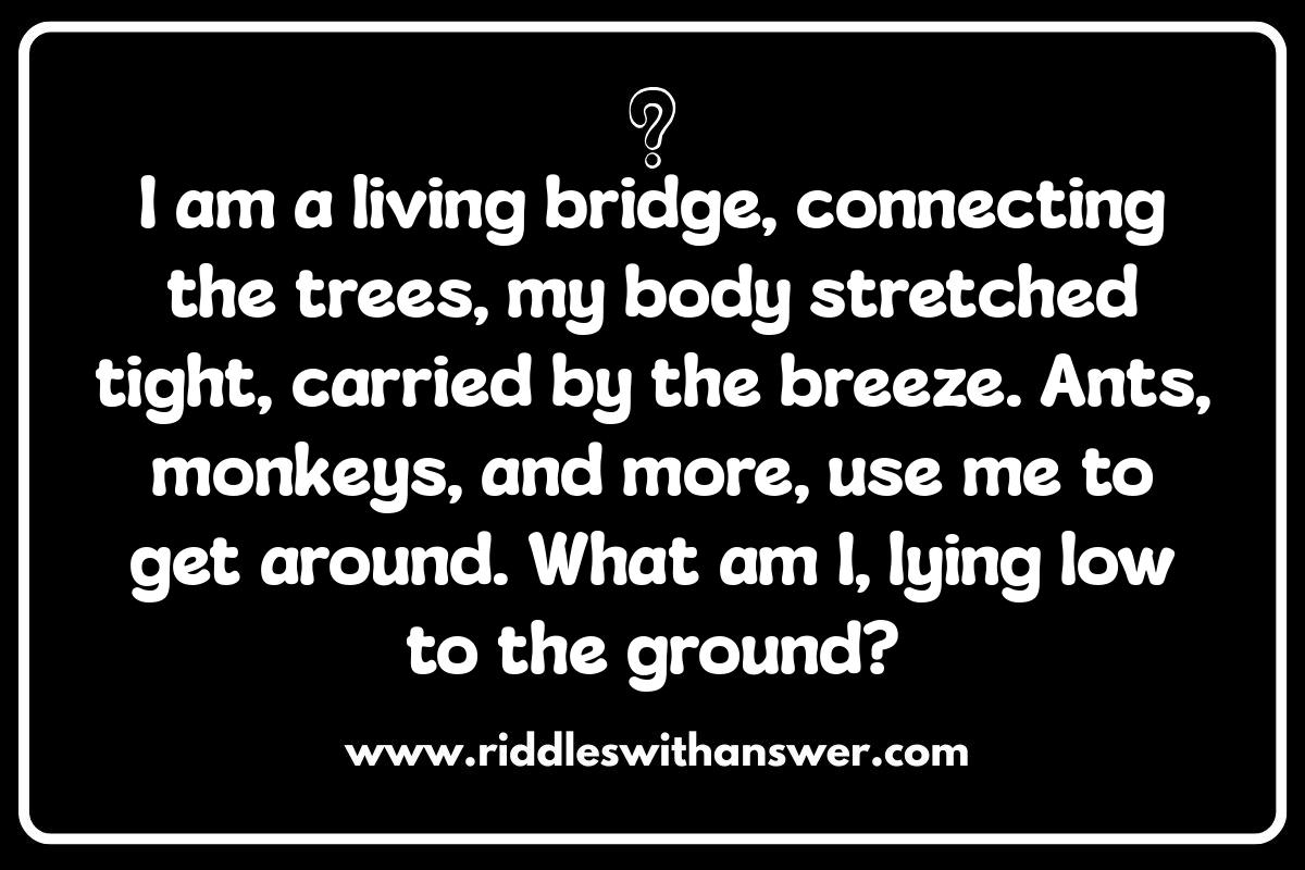 Jungle Animal Riddles and Their Habitats: Learn as You Guess