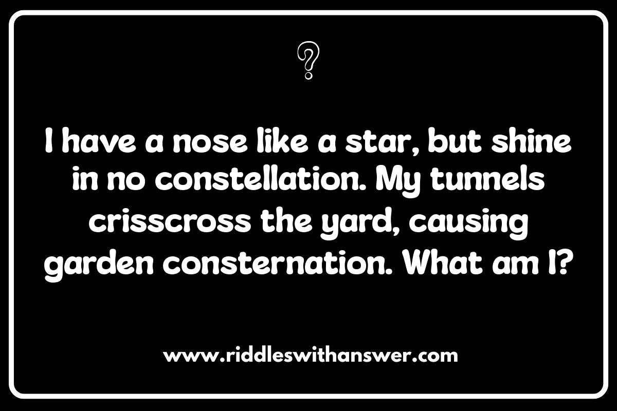 Mammal Riddles and Answers: Test Your Knowledge