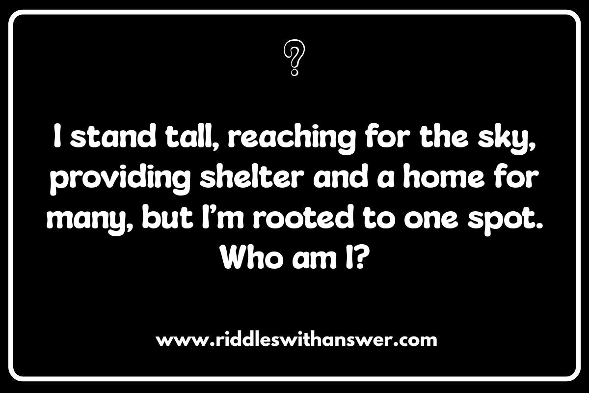 Nature-Themed Who Am I Riddles with Answers