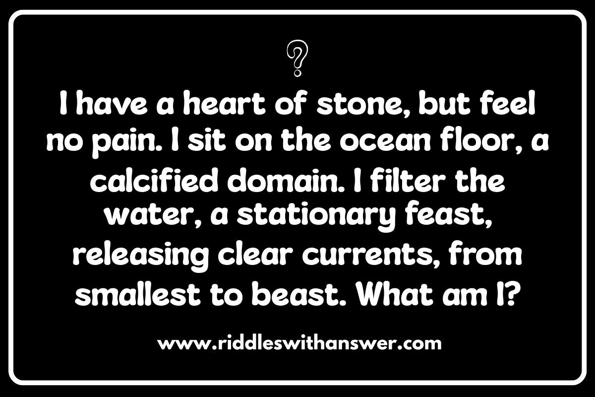 Ocean Animal Riddles: A Fun Way to Learn About Marine Life