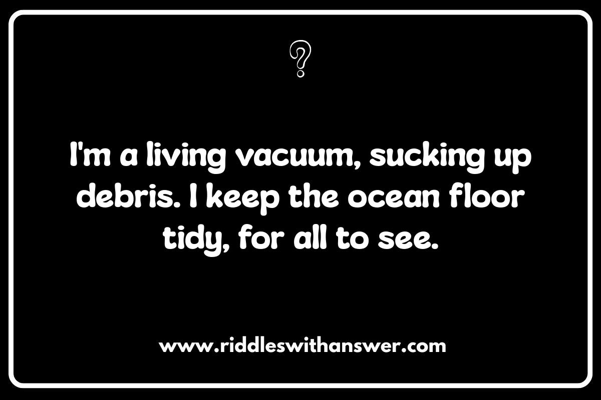 Ocean Animal Riddles: From Sharks to Shrimp, a Brain-Teasing Dive