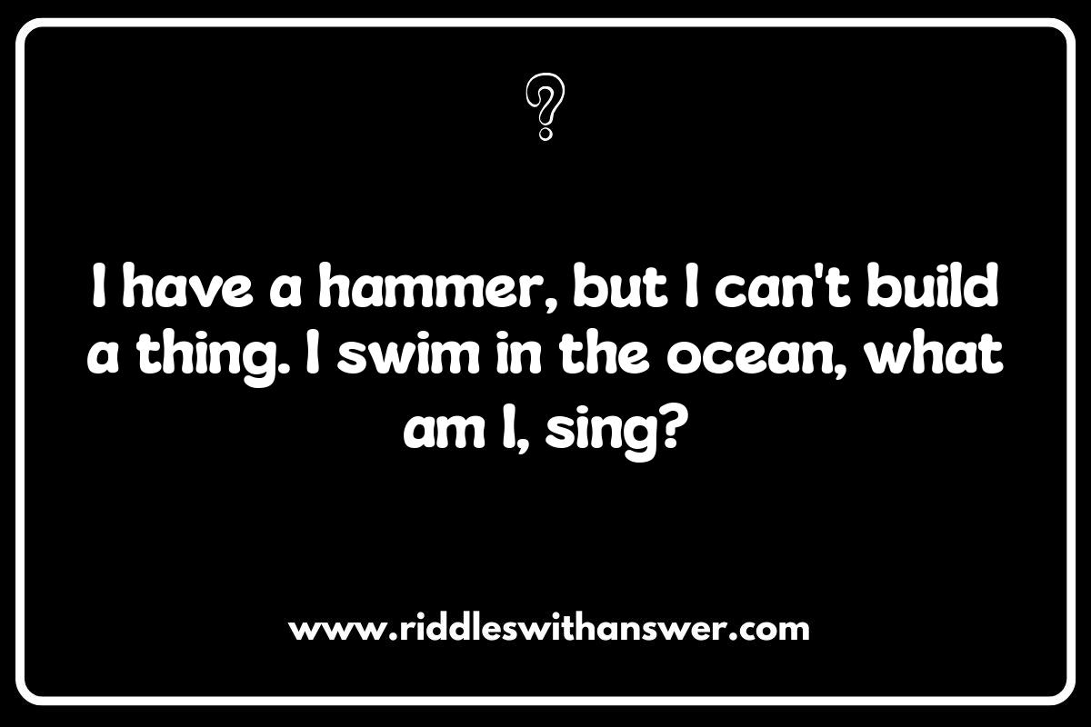 Ocean Animal Riddles: Guess the Creature: Who Am I?