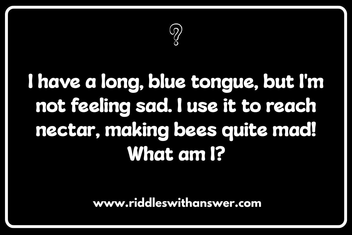 Printable Animal Riddles for Kids: Offline Fun