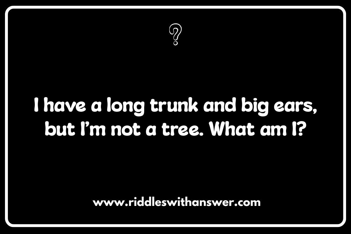 Printable Animal Riddles for Preschoolers: For On-the-Go Fun