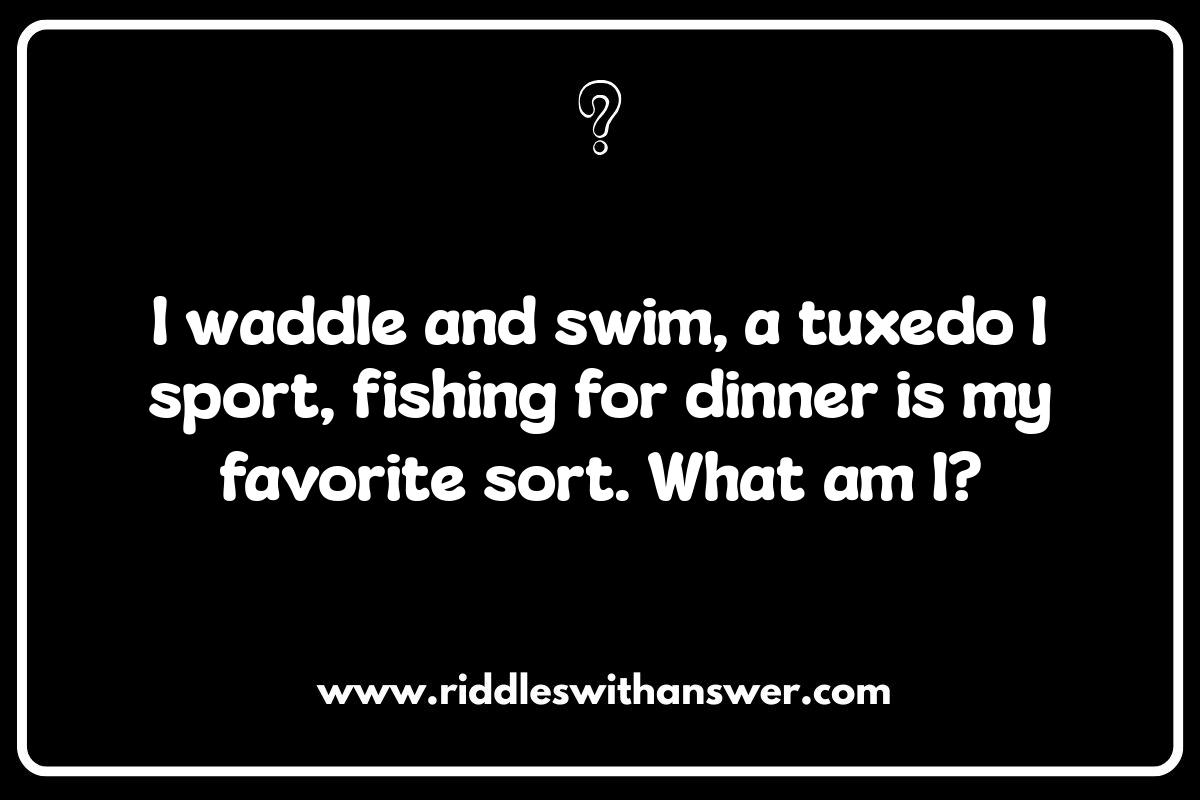 Rhyming Animal Riddles for Kids: Wordplay Wonders