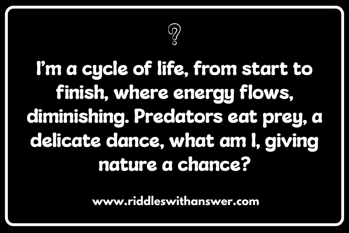 Science Fair Riddles: Sharpening Young Minds