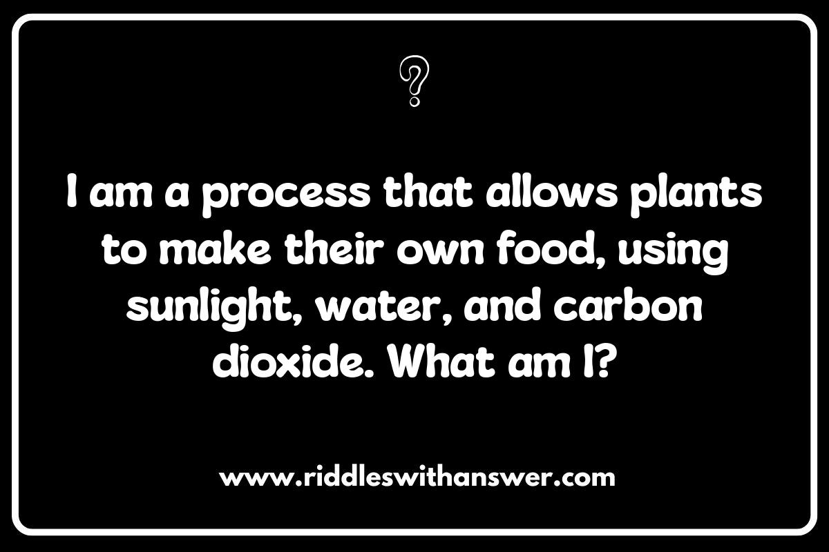 Science Riddles: Explore the World of Discovery
