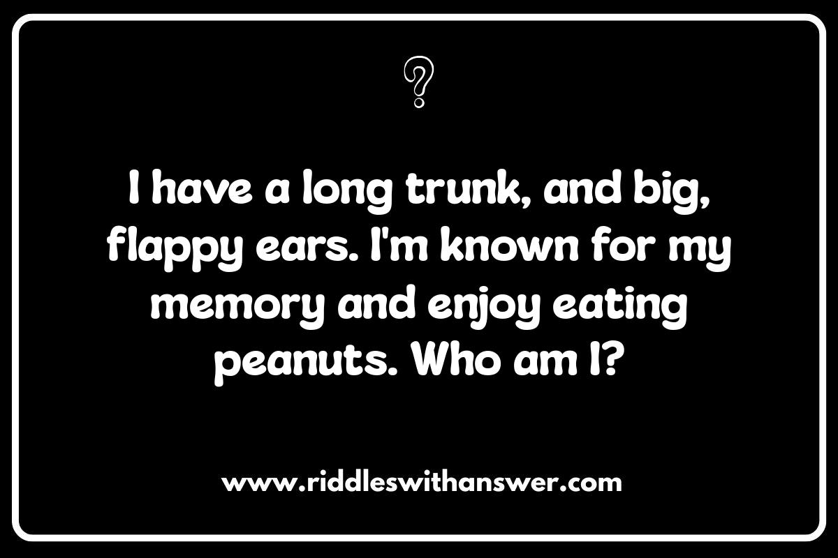 Simple Animal Who Am I Riddles: Learning Through Play