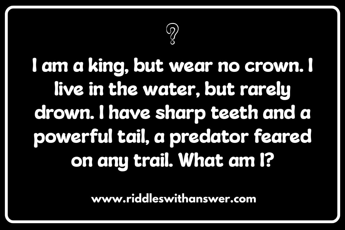 The History of Animal Riddles: From Folklore to Modern Puzzles