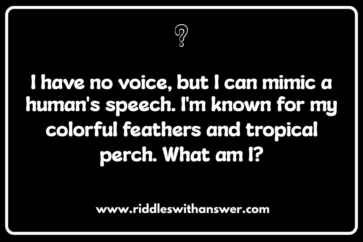 Tricky Animal Riddles for Kids: Testing Their Wits