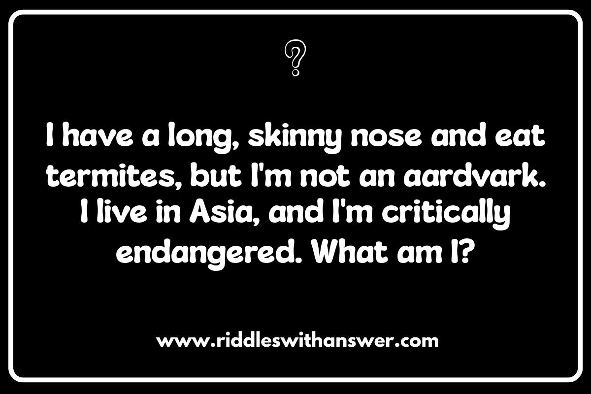 Unleash Your Inner Zoologist: Animal Riddles for All Ages