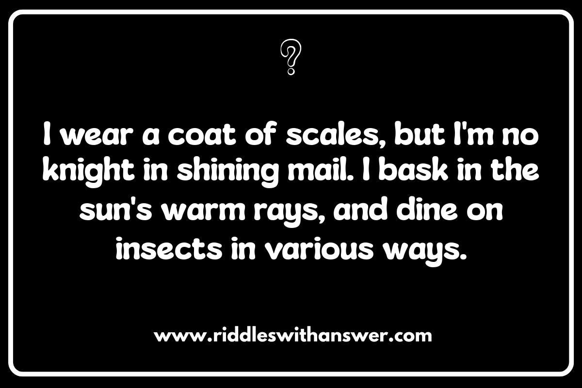 Who Am I Animal Riddles: Testing Your Wildlife Knowledge