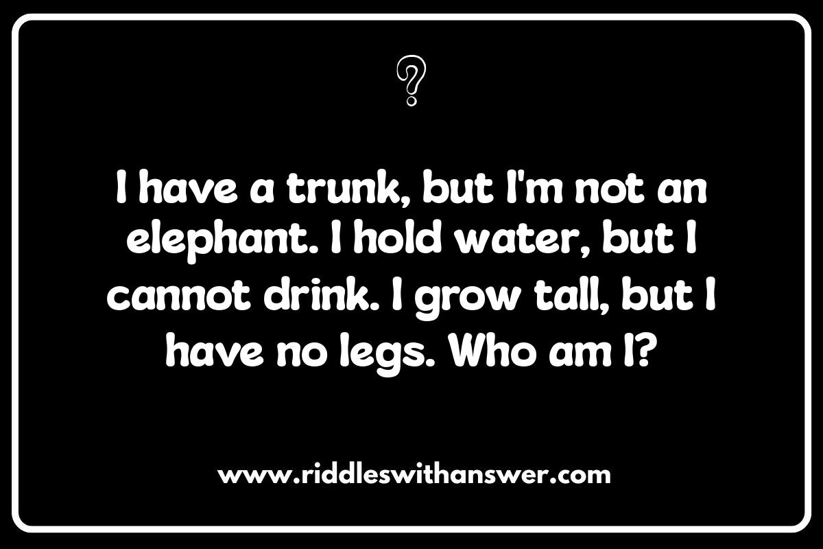 Who Am I Riddles and Answers: Decoding the Clues