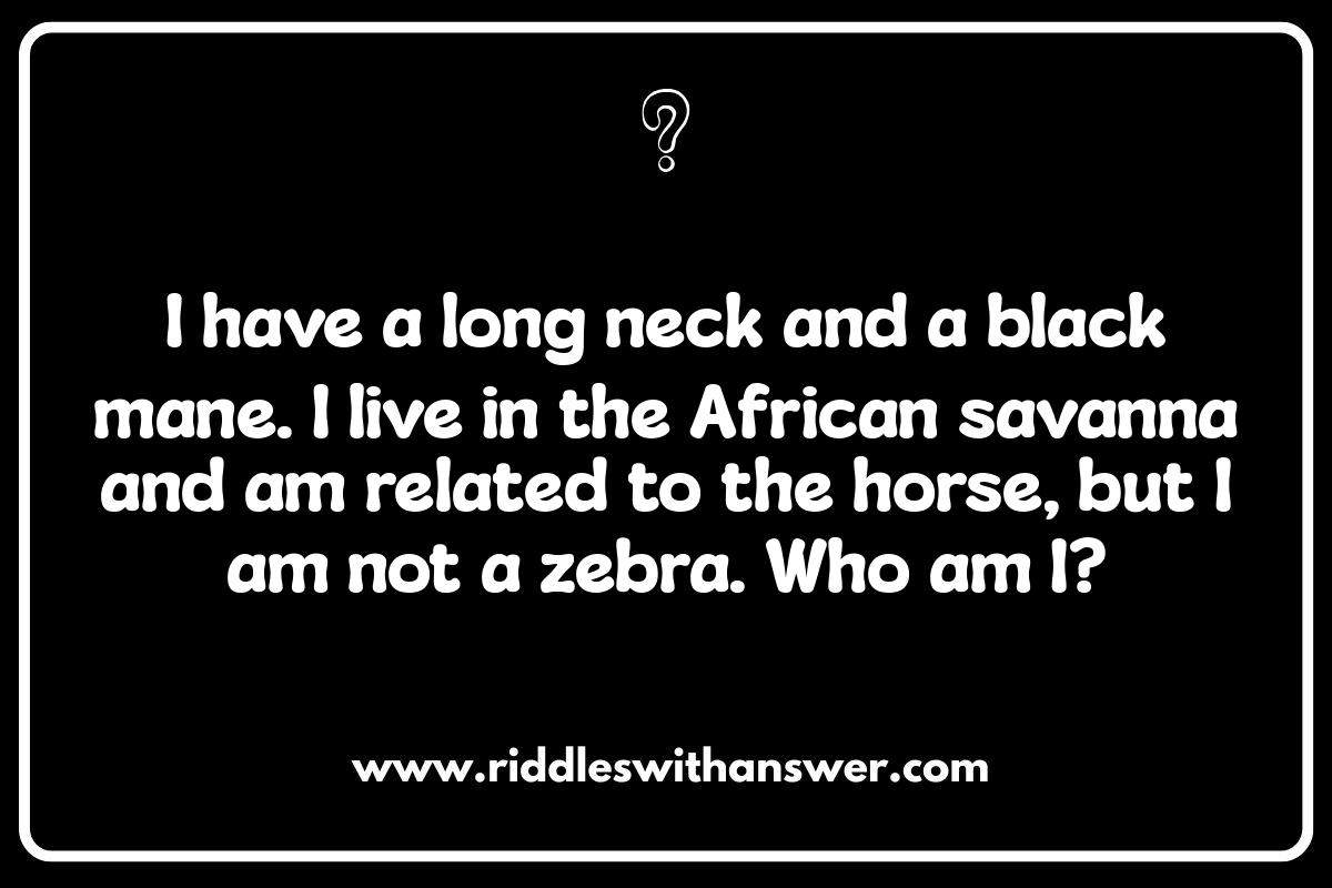 Who Am I Riddles for Parties: Tips for Hosting a Riddle Game