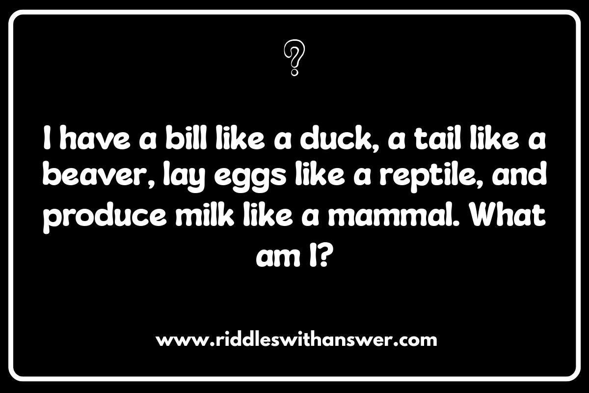 Wild Animal Riddles: Conservation Messages Hidden Within