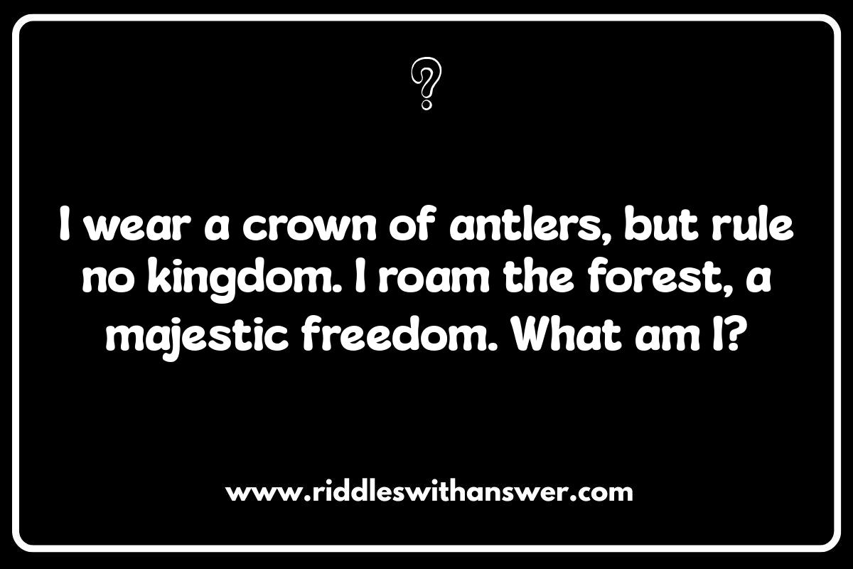 Wild Animal Riddles: For Kids and Adults