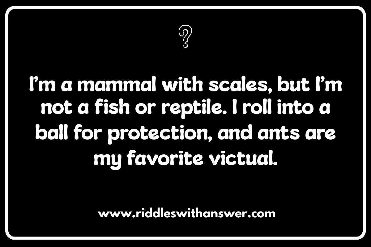 Wild Animal Riddles: Spot the Camouflaged Creature