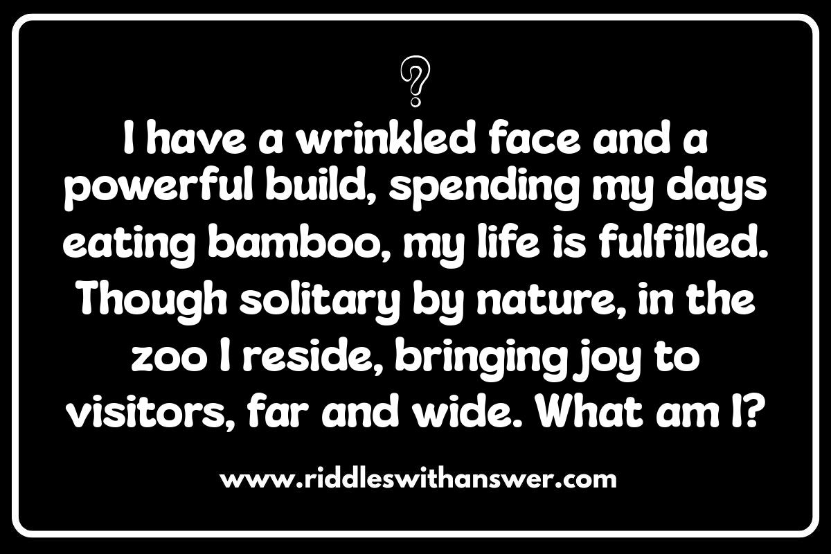Zoo Animal Riddles: A Wild Guessing Game
